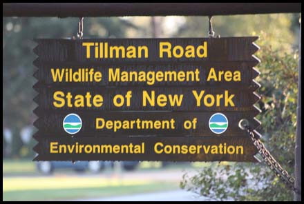 Tillman Nature Preserve